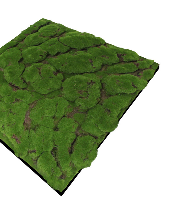 Jangal Modular Wall mospanel 52 x 52 cm - Dark Green Bulk